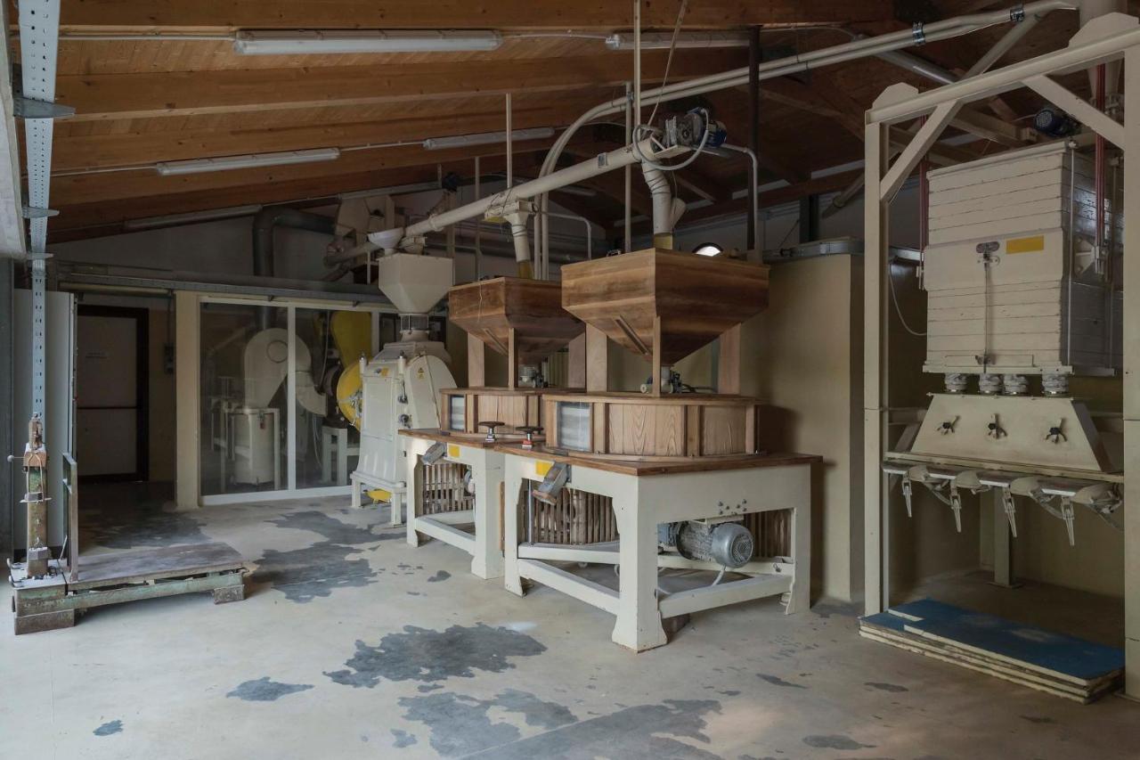 Vila Mulino Bencivenga Alvignano Exteriér fotografie